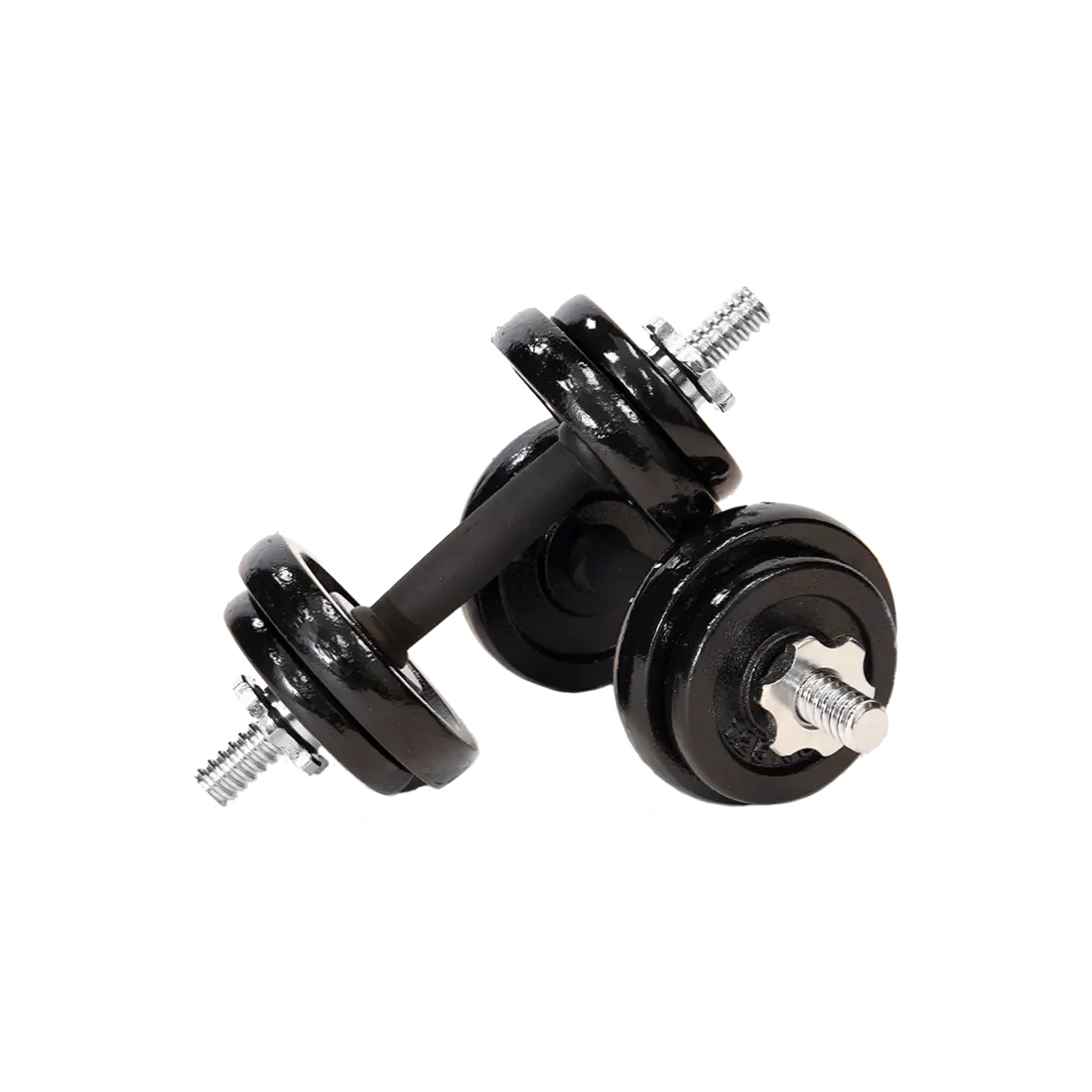 Professionele Dumbbell Set - 20 kg